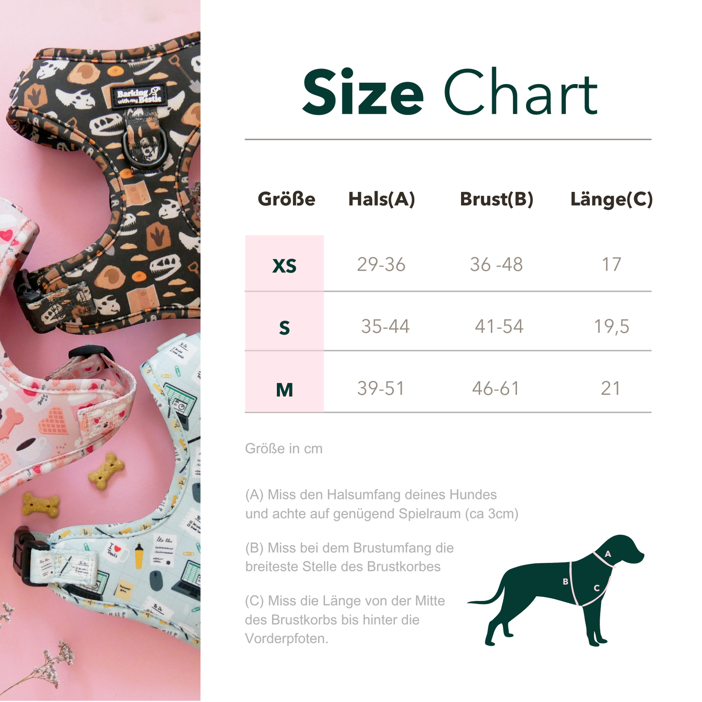 Fossil Trail - Geschirr