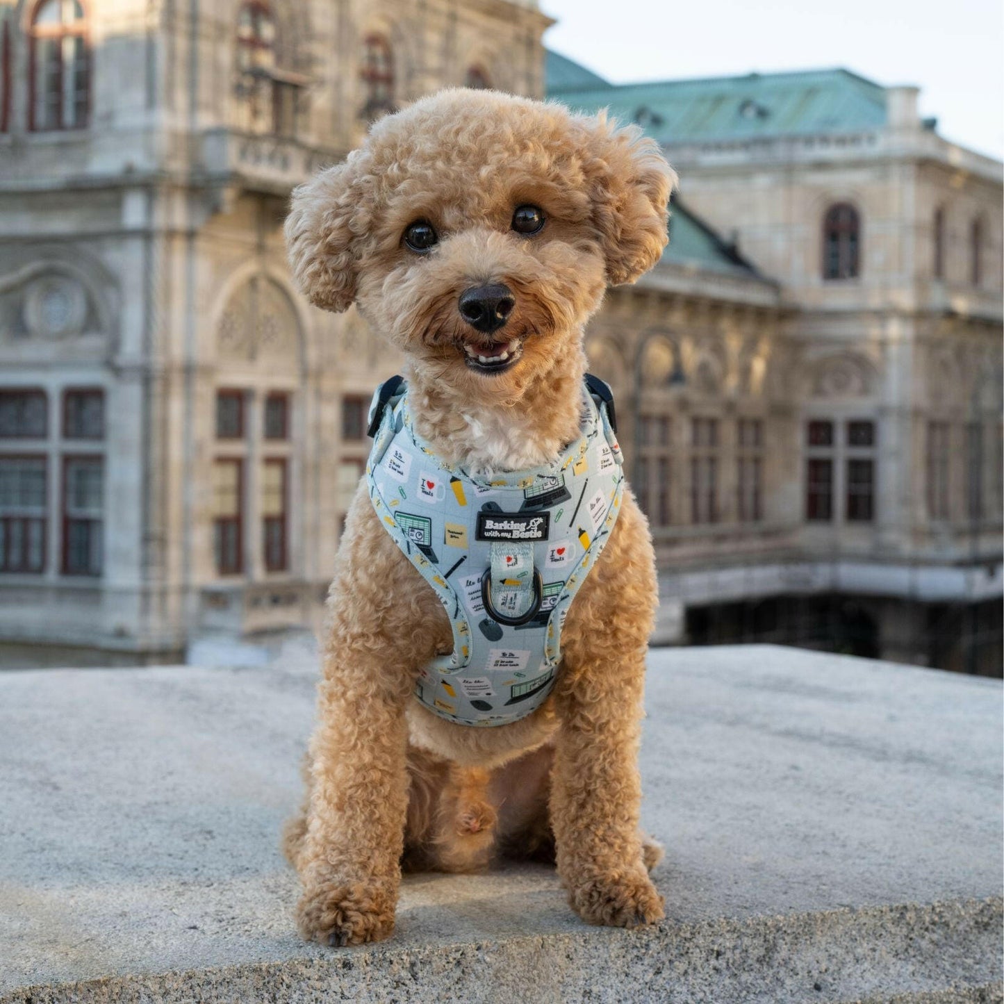 Office Dog - Geschirr