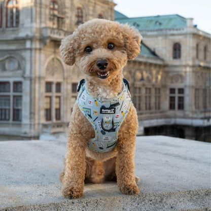 Office Dog - Geschirr