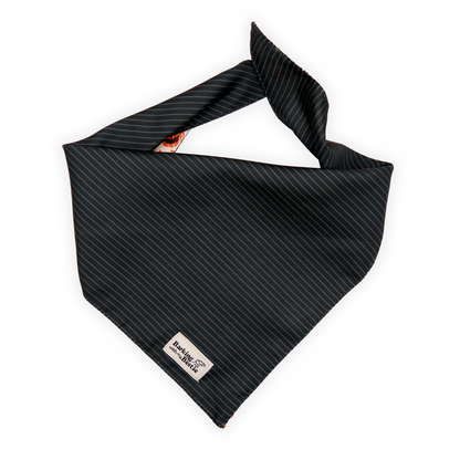 Bandana - Tricks for Treats