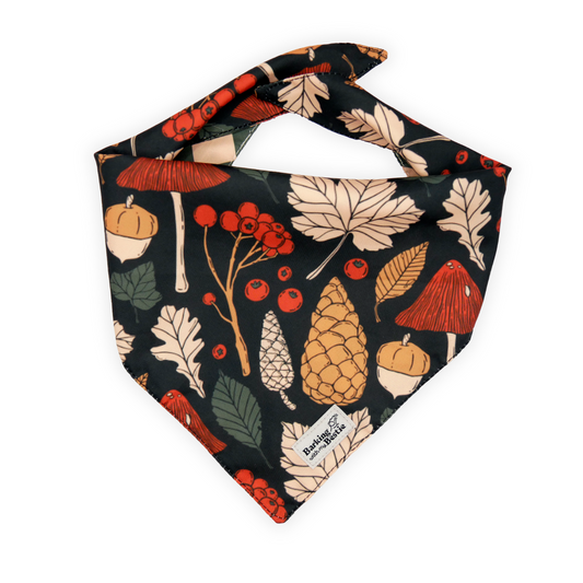 Bandana - Herbstheld