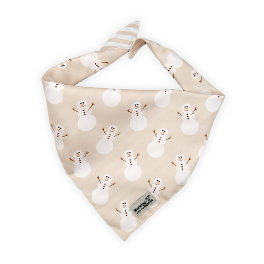 Bandana - Frosty Friend